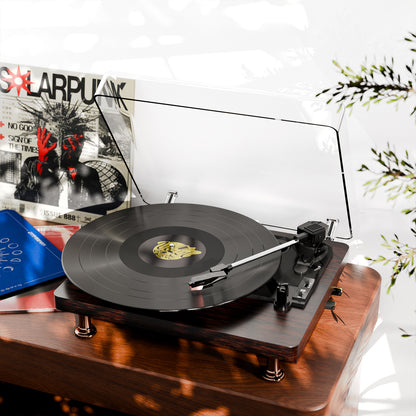Vinyl Turntable with Built-in Speakers and Bluetooth Gift for Music Lover